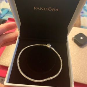 Pandora Silver Snake Chain